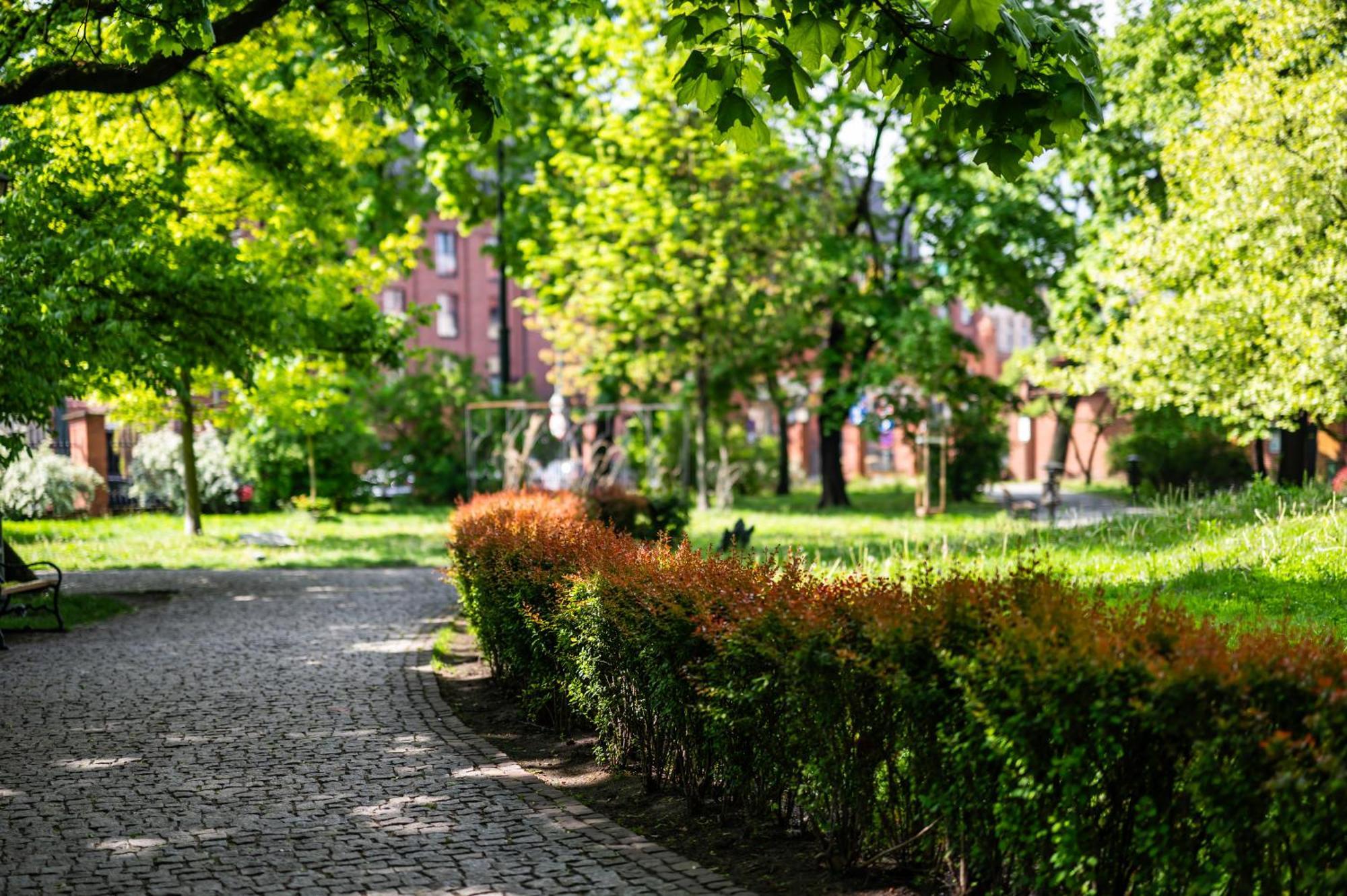 Apartament Modena Moxy Te&am Cracow
